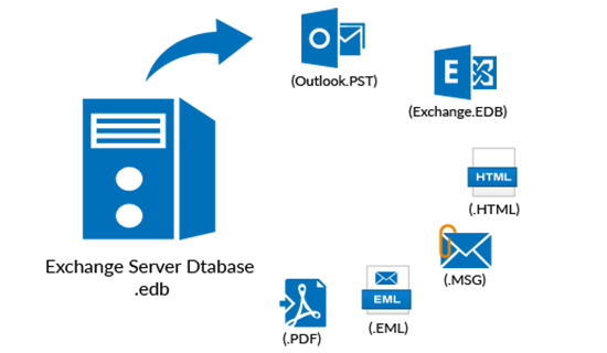 MS Exchange Server